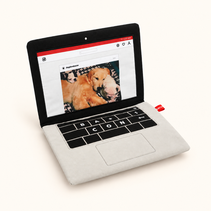 Pup-top Squeaky Laptop